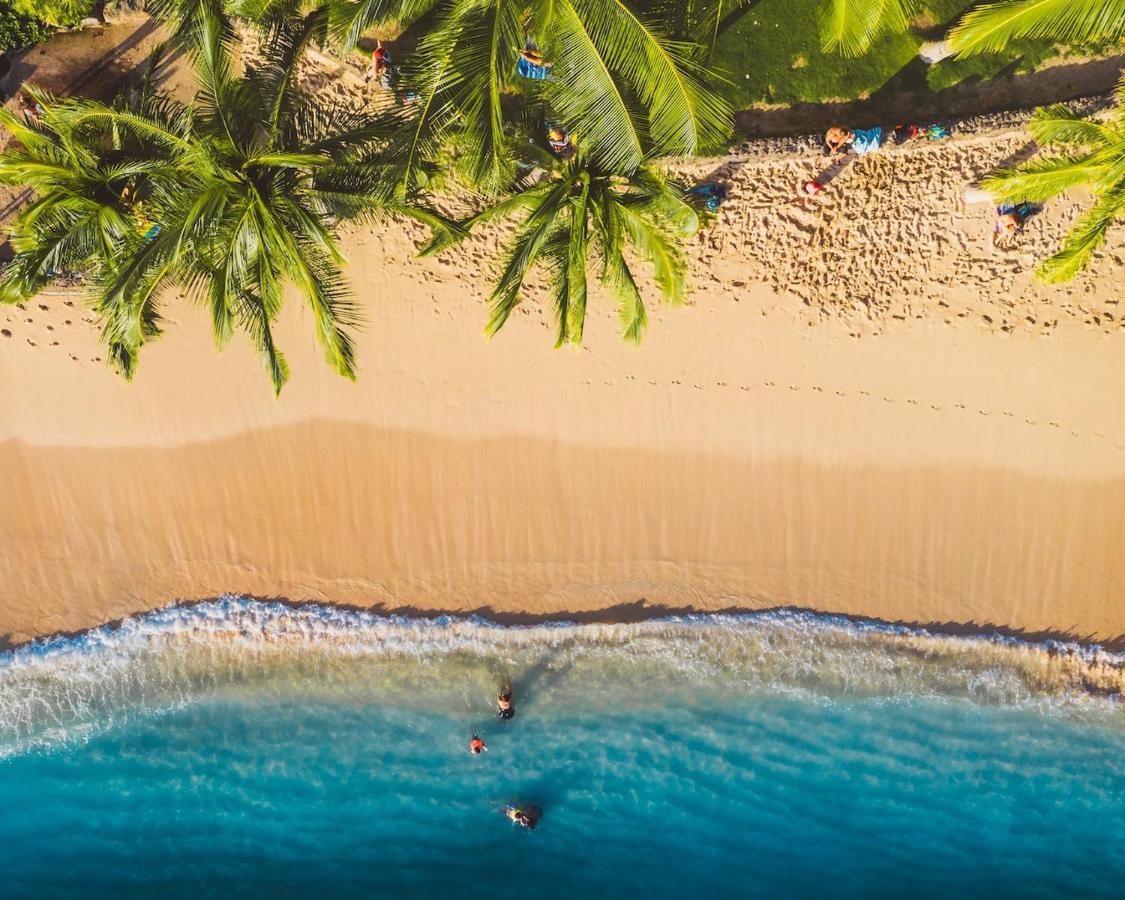 Imagine972 Martinique Bateau Hotel A Quai Le Marin 3 Cabines 3 Salles De Bains 6 Pers Maxi Exteriör bild