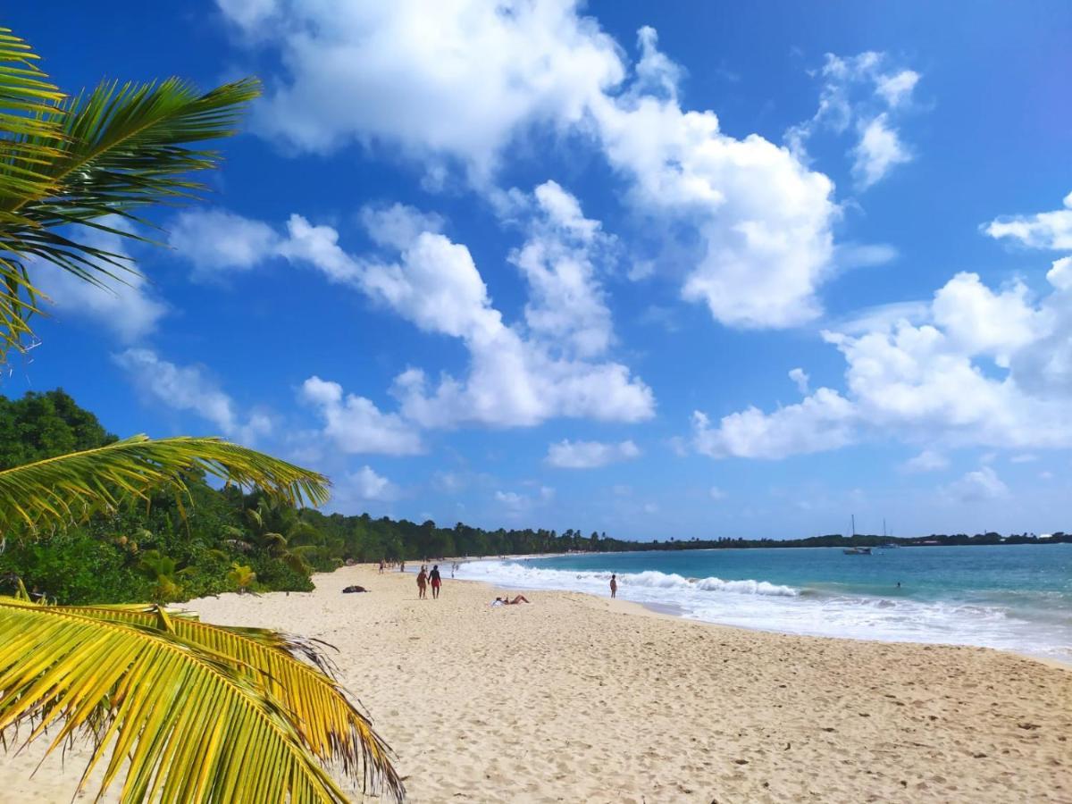 Imagine972 Martinique Bateau Hotel A Quai Le Marin 3 Cabines 3 Salles De Bains 6 Pers Maxi Exteriör bild