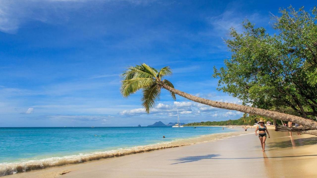 Imagine972 Martinique Bateau Hotel A Quai Le Marin 3 Cabines 3 Salles De Bains 6 Pers Maxi Exteriör bild