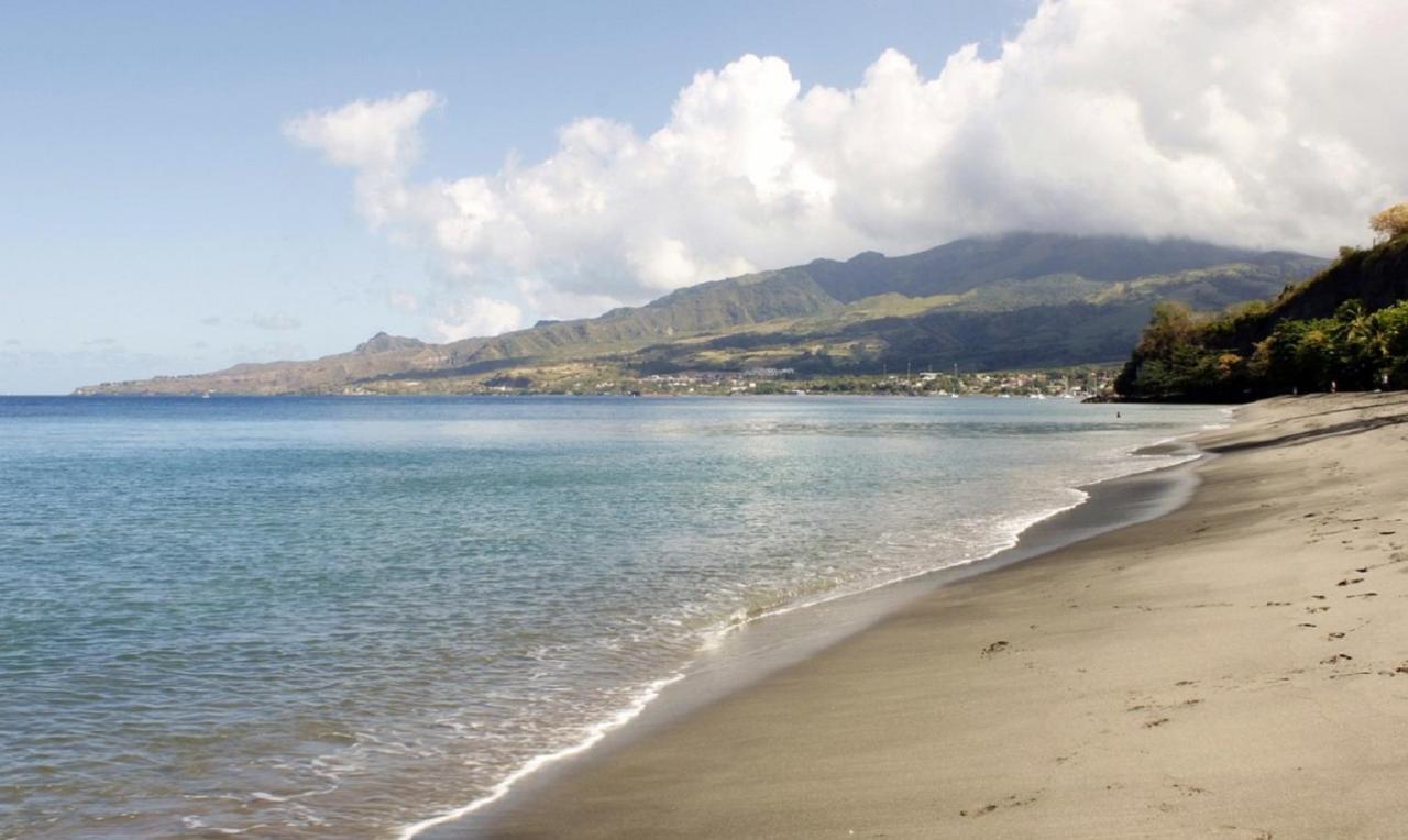 Imagine972 Martinique Bateau Hotel A Quai Le Marin 3 Cabines 3 Salles De Bains 6 Pers Maxi Exteriör bild
